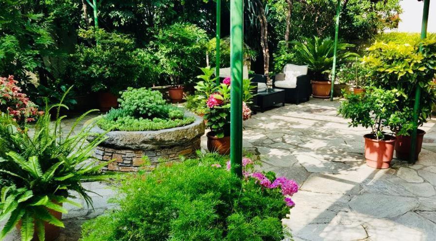 Hotel Alkyon Kala Nera Ngoại thất bức ảnh