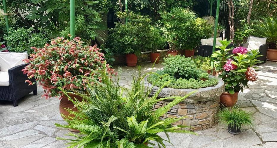Hotel Alkyon Kala Nera Ngoại thất bức ảnh